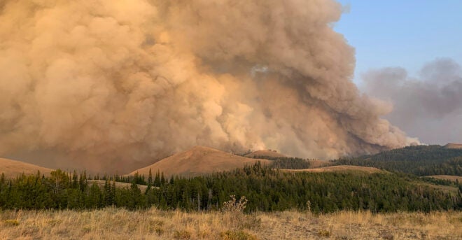 RMEF & Partners Donate $7.8 Million to Rehab Wildfire-Charred Forests