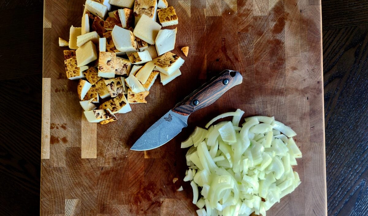 Pheasant Back Mushrooms