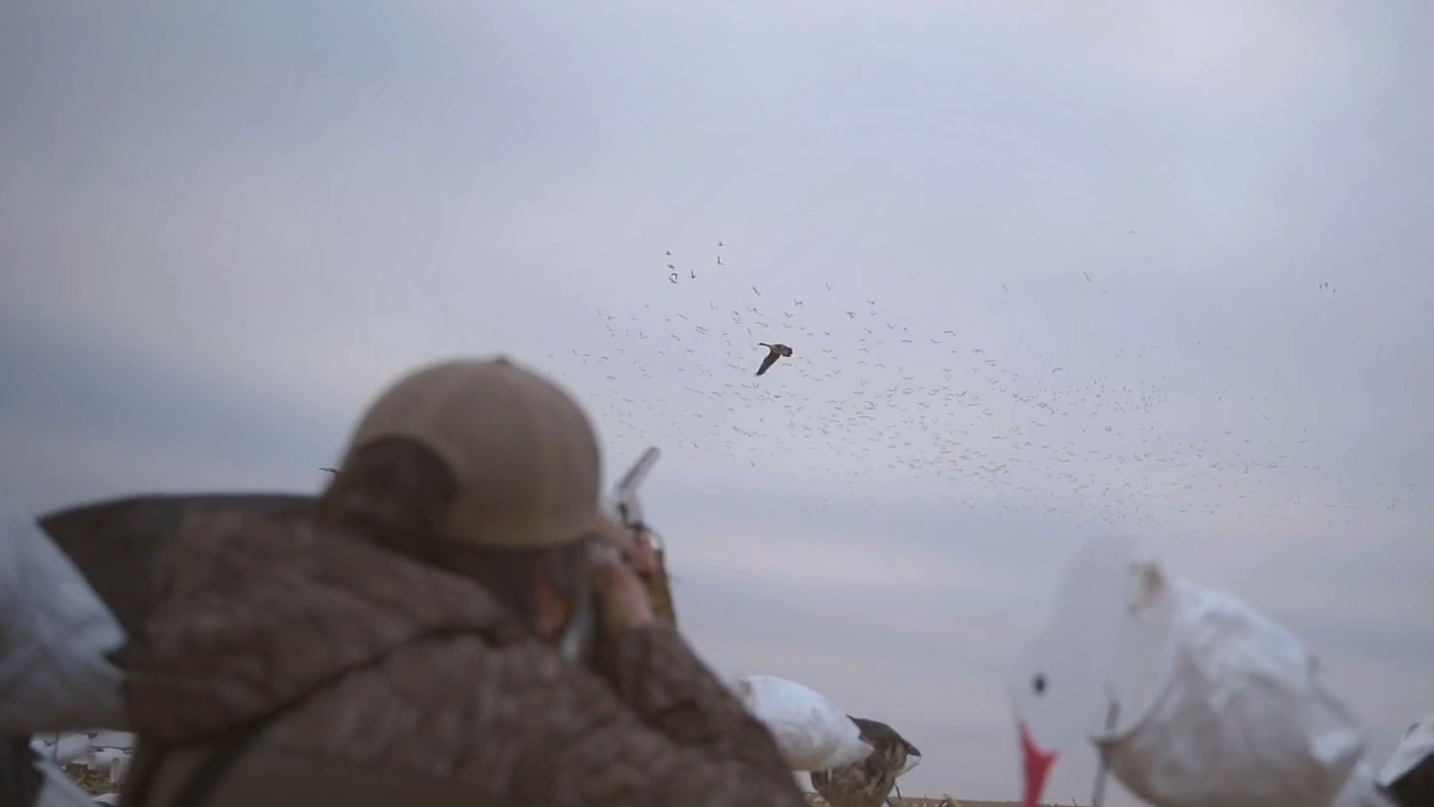 Discover the Power of Kent Cartridge's Fasteel+ 2.0 Shotshells
