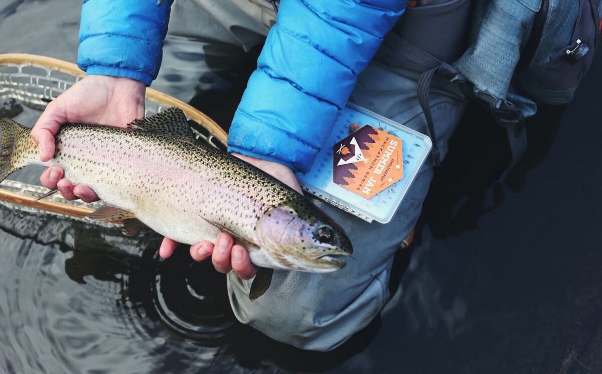 NextImg:Steelhead Fly Fishing - How to Select Gear, Flies, and Insider Tricks