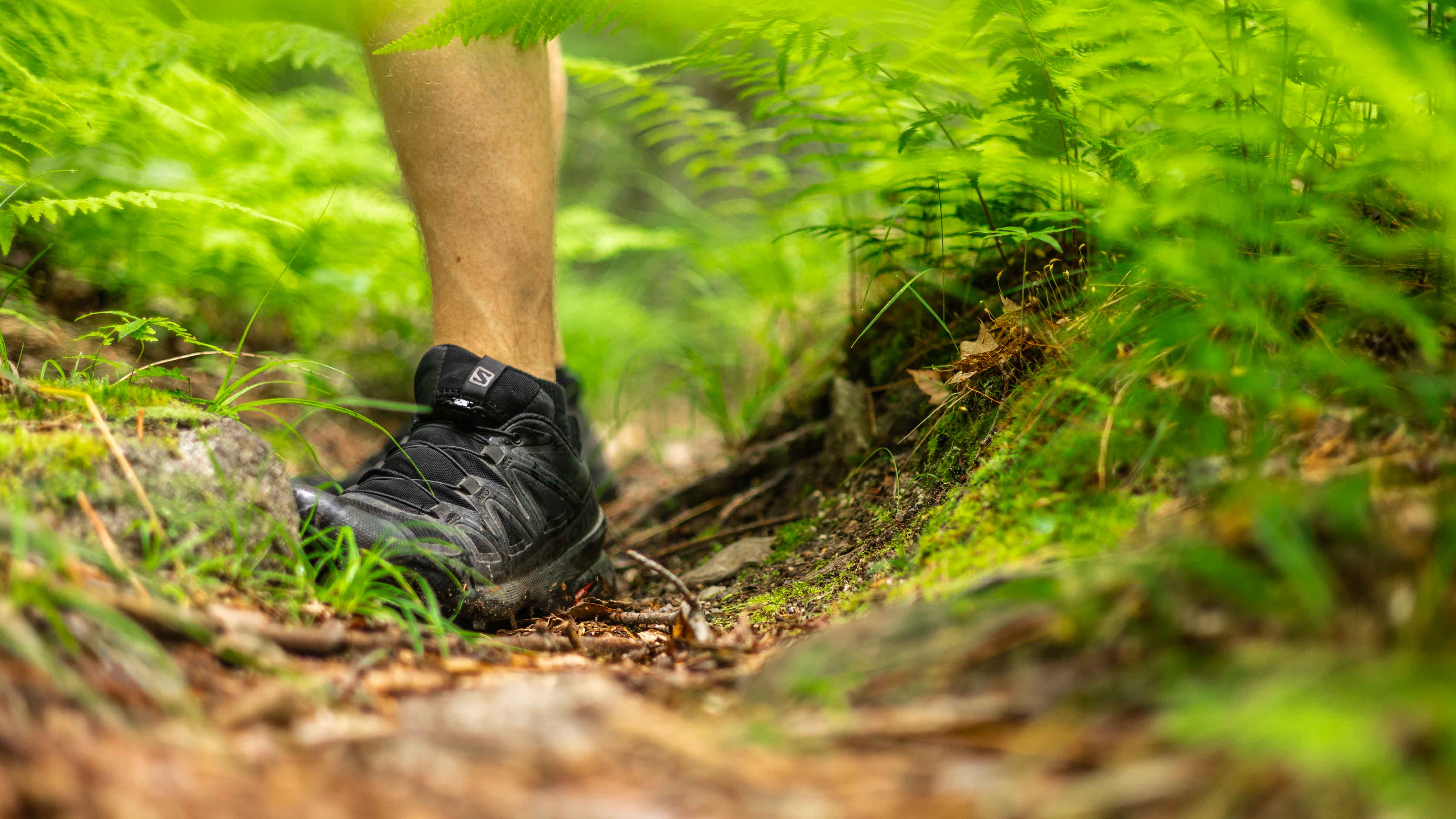 AllOutdoor Review - Saloman Speedcross 5 Trail Running Shoes