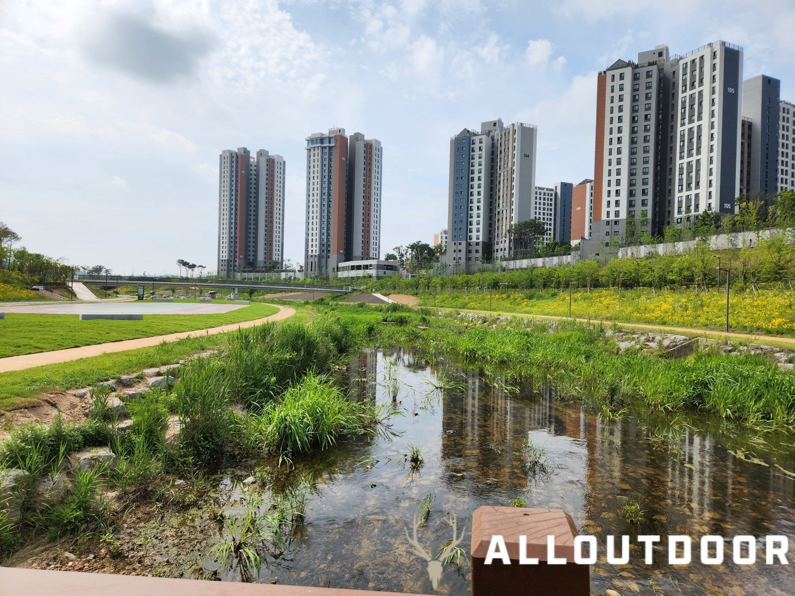 A Day in South Korea - Daejeon Jungang Open Air Market