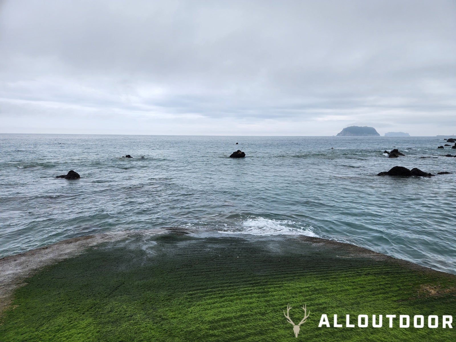 A Day in South Korea - Trying to Fish Jeju Island