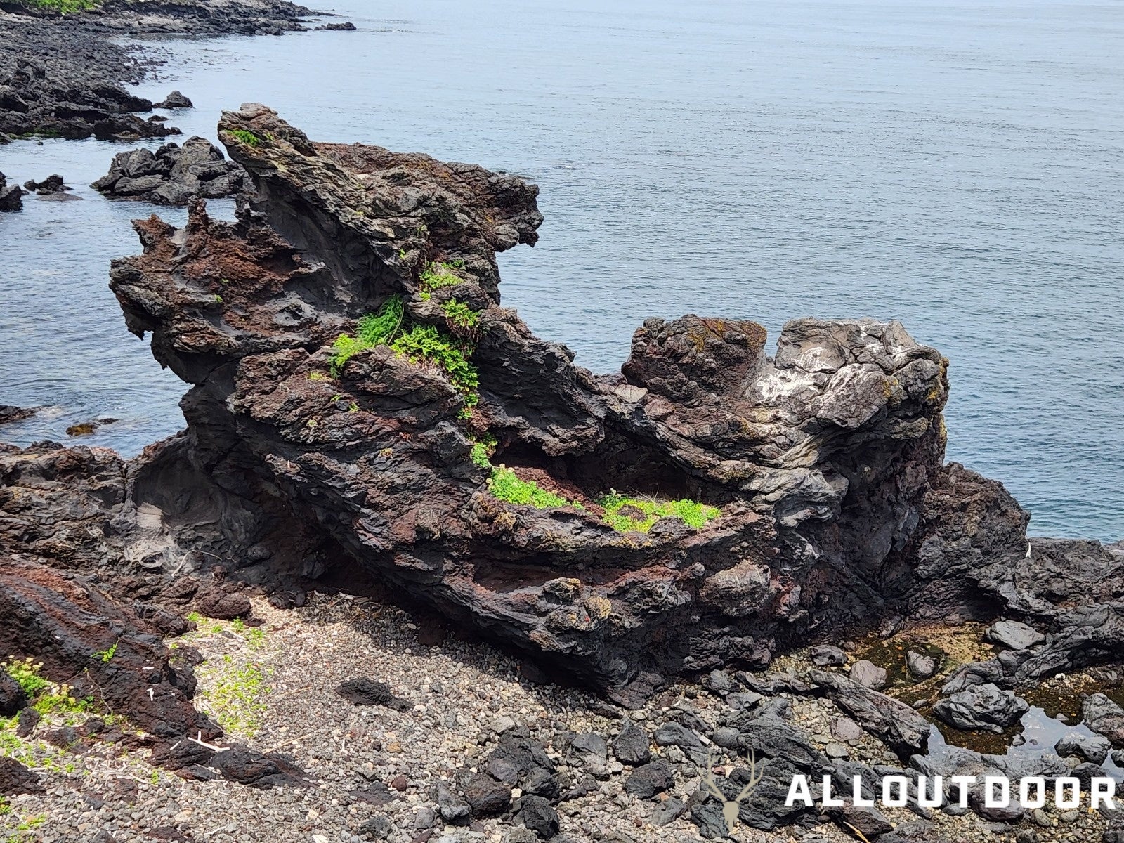 A Day in South Korea - Trying to Fish Jeju Island