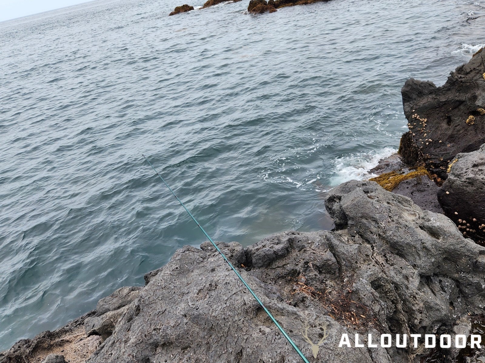 A Day in South Korea - Trying to Fish Jeju Island