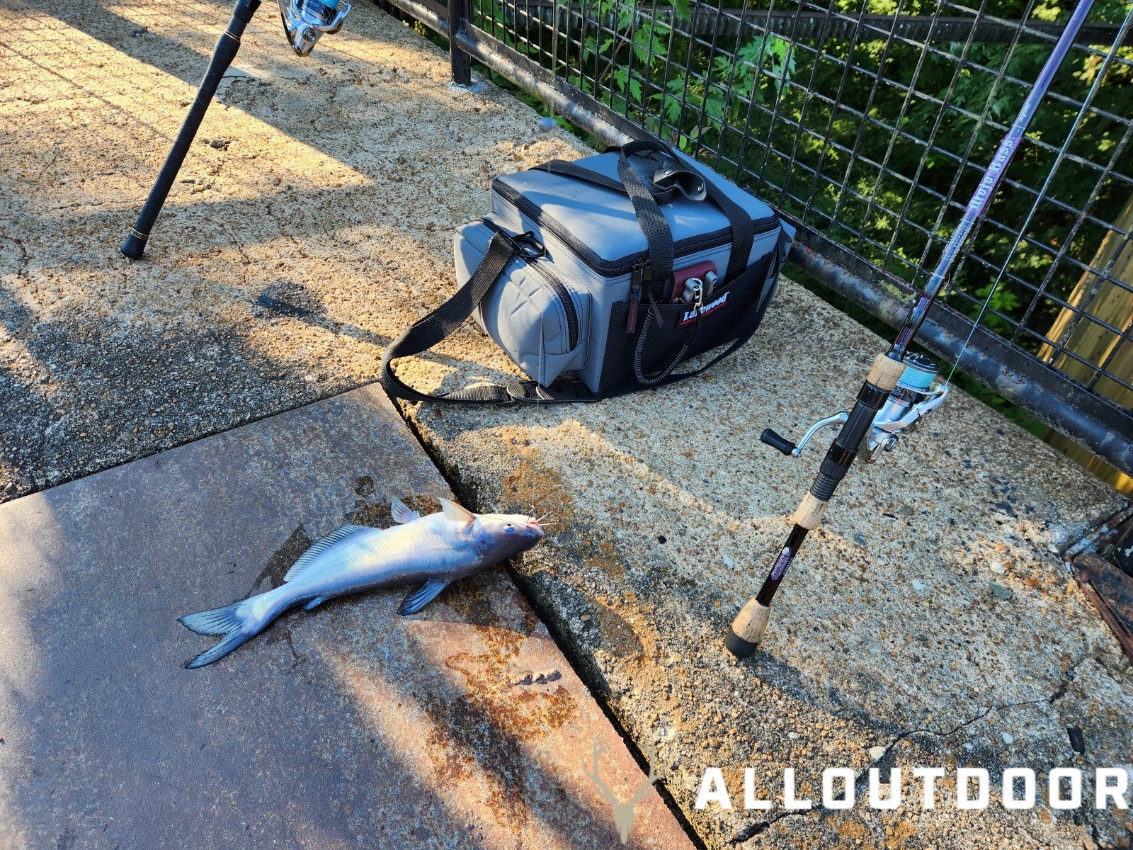 AllOutdoor Review – Lakewood Mini Sidekick Tackle Box & Billfold