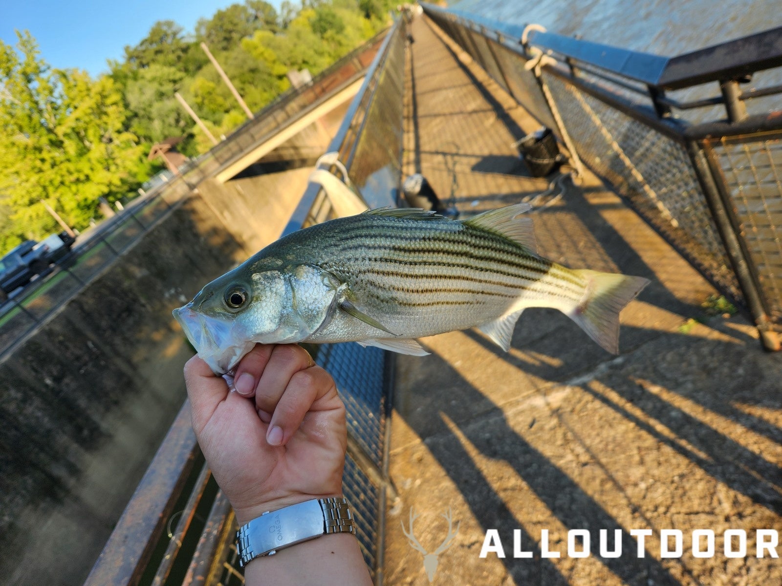 Cook your Catch - Blackened Coosa River Striped Bass