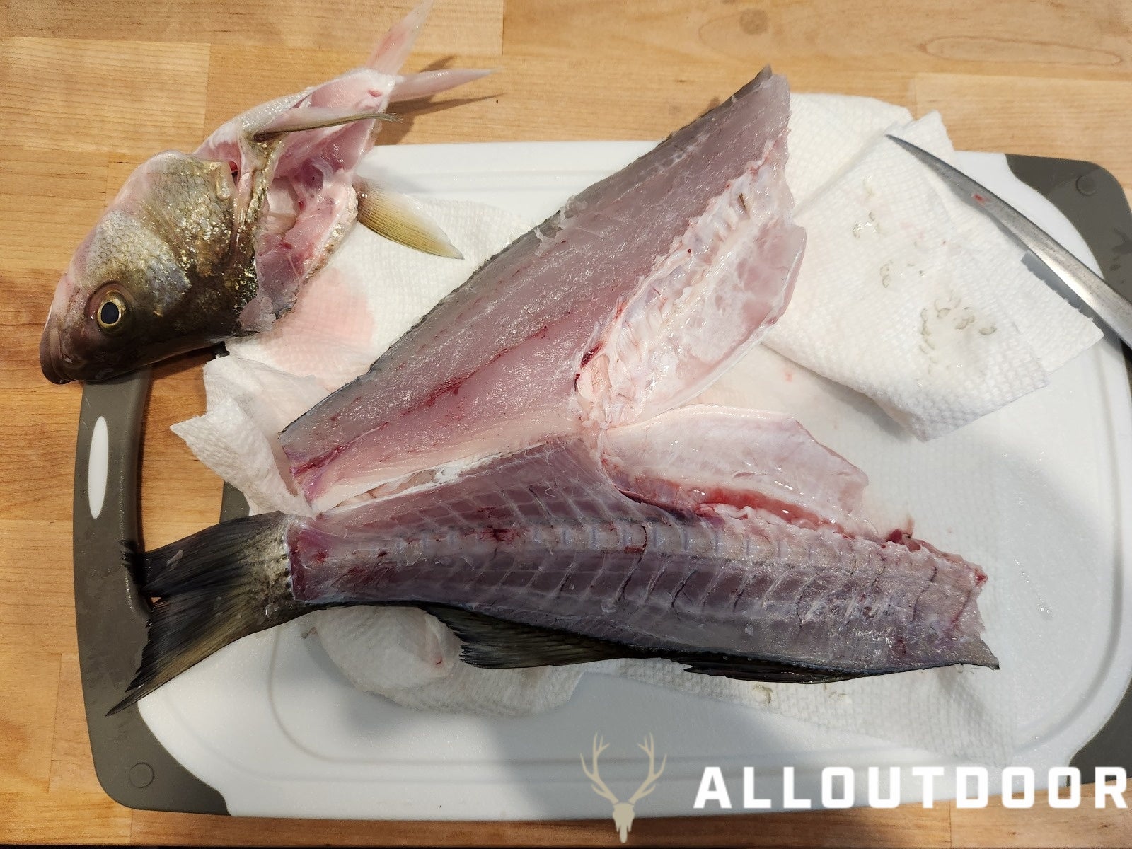 Cook your Catch - Blackened Coosa River Striped Bass