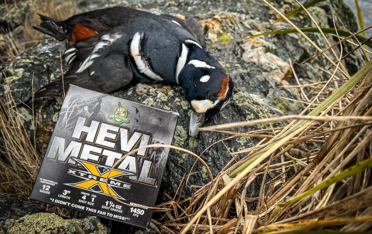 NextImg:HEVI-Shot Ammo Launches All-New HEVI-Metal Xtreme Waterfowl Loads