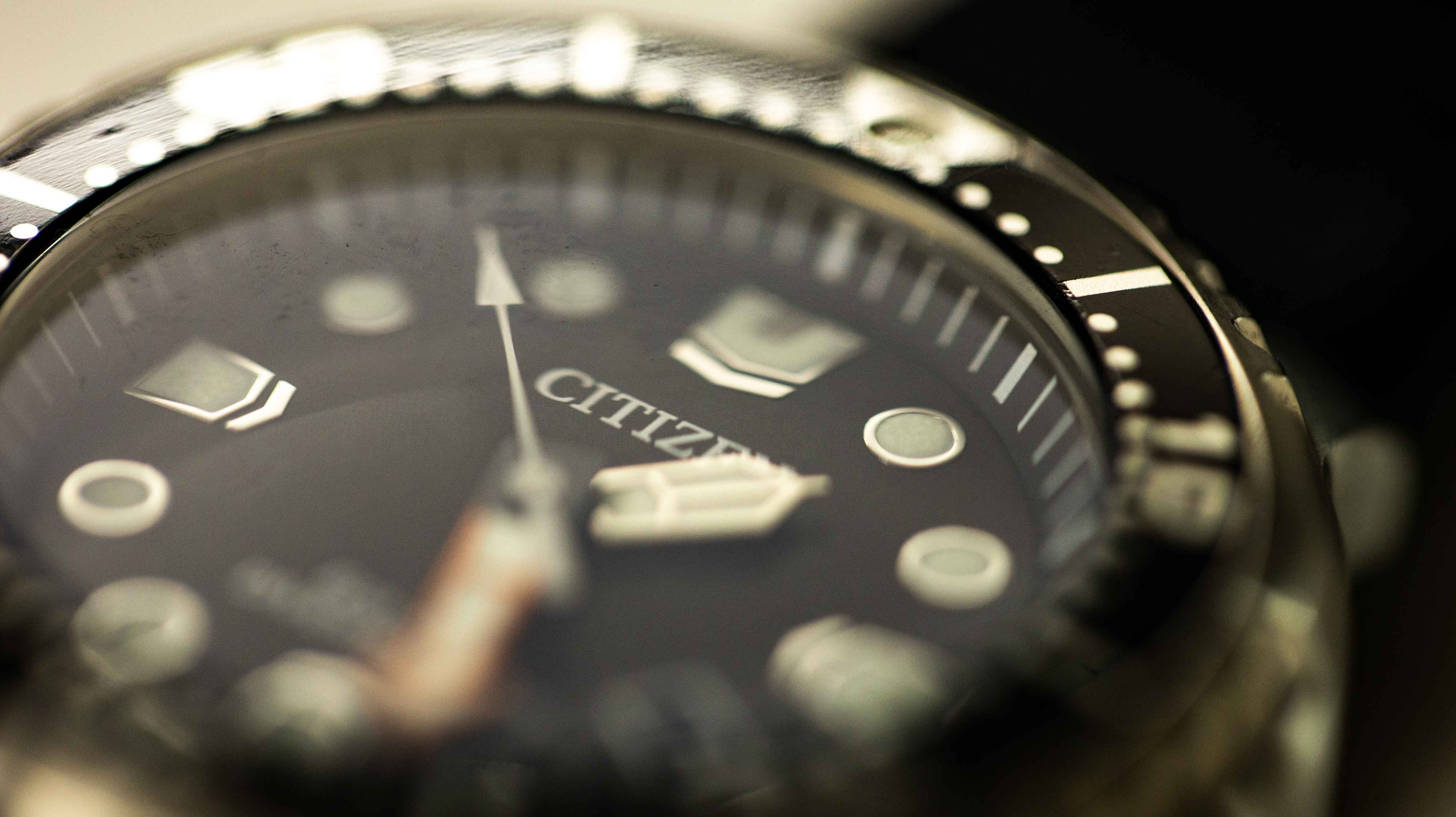 Citizen Promaster