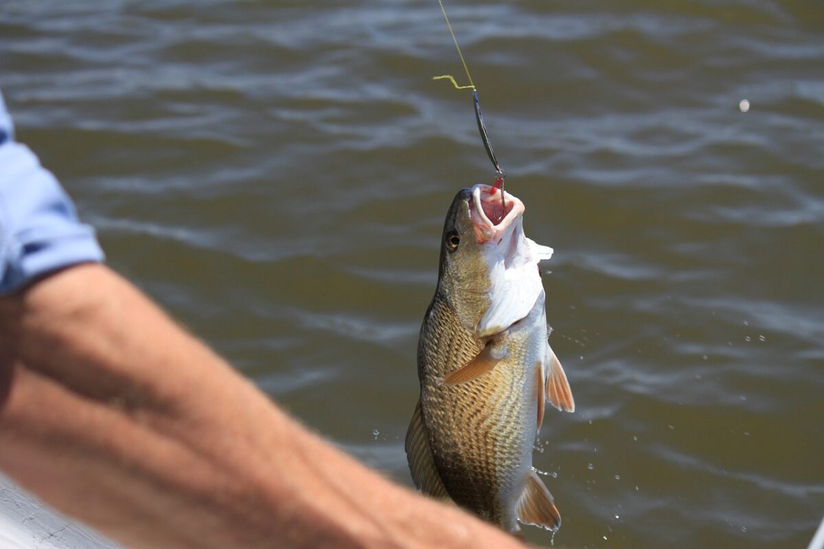 The Guide to Fishing Hooks: Types, Sizes & Use for all your Fishing Needs The Guide to Fishing Hooks: Types, Sizes & Use for all your Fishing Needs