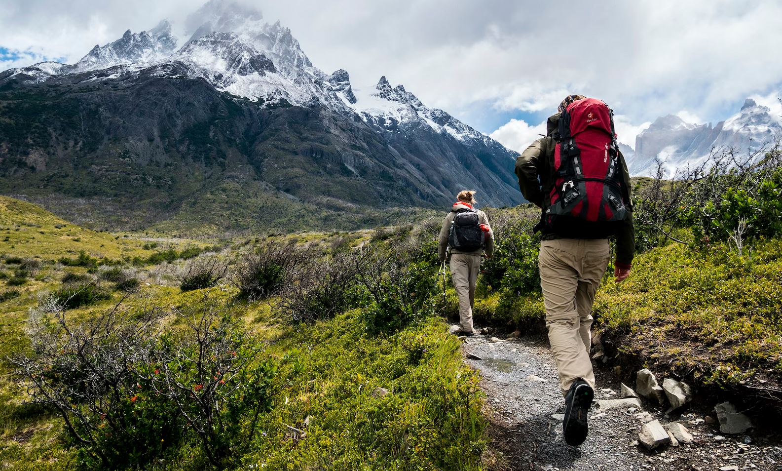 Bear Aware: How to Safely Handle a Bear Encounter in the Great Outdoors