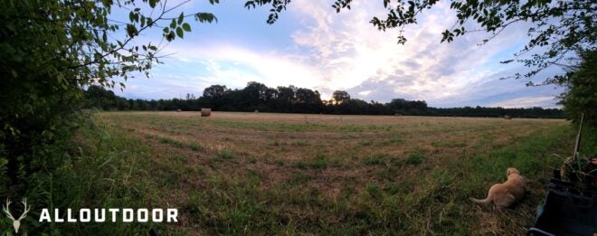 Opening Day in Georgia – Public Land Dove Hunting Opening Day in Georgia – Public Land Dove Hunting