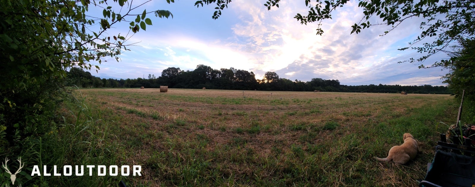 Opening Day in Georgia - Public Land Dove Hunting