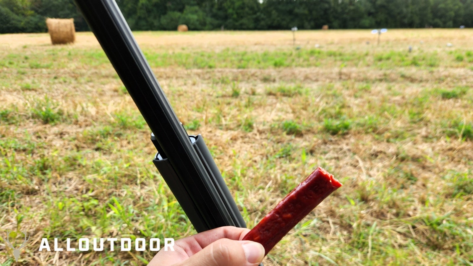 Opening Day Georgia Public Land Dove Hunting