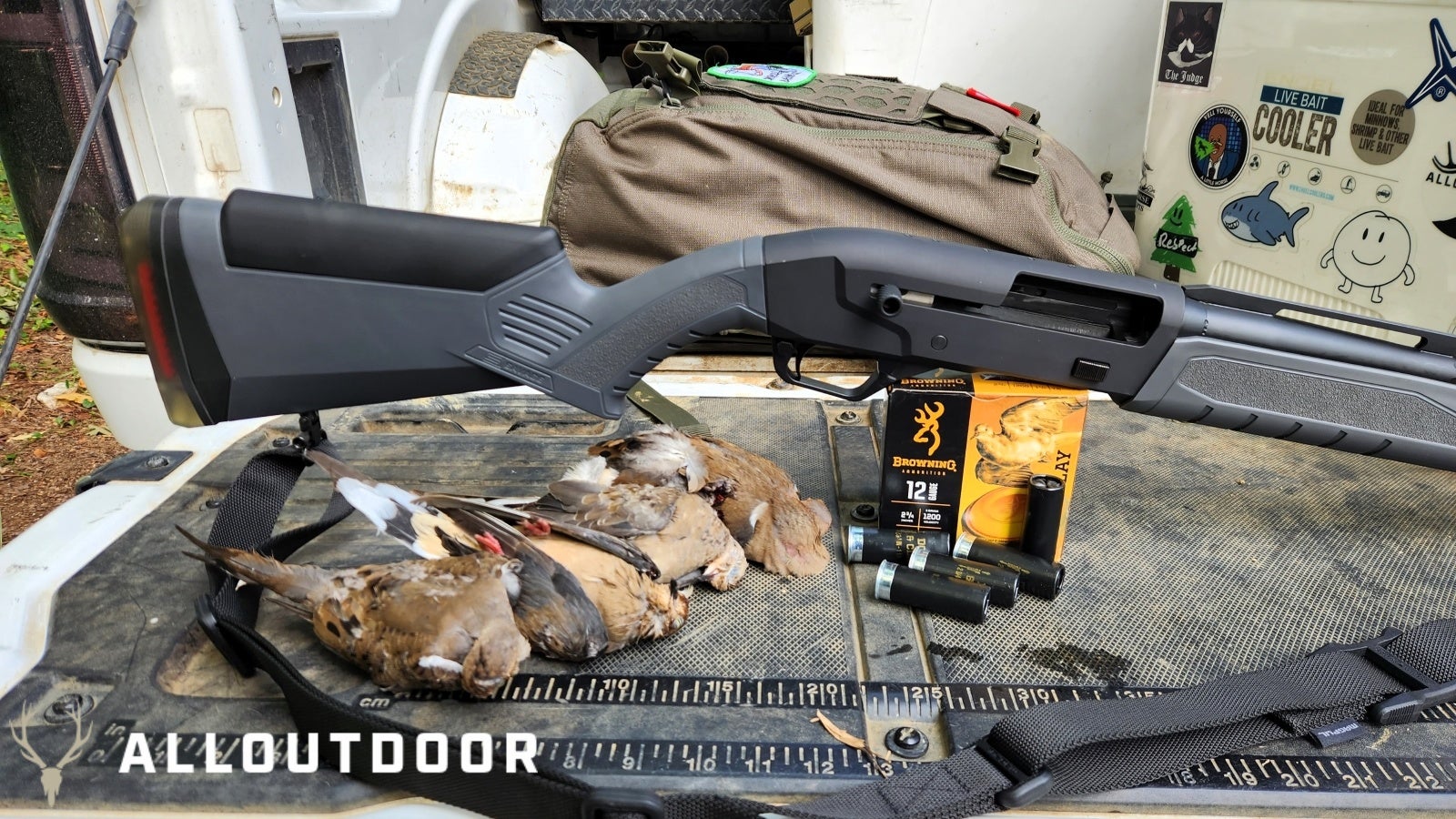 Opening Day Georgia Public Land Dove Hunting