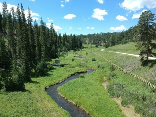 RMEF Achieves $1.45 Million in Grant Funding for South Dakota Wildlife