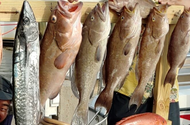 2023 Gag Grouper Season Closing Early in Federal Gulf of Mexico Waters