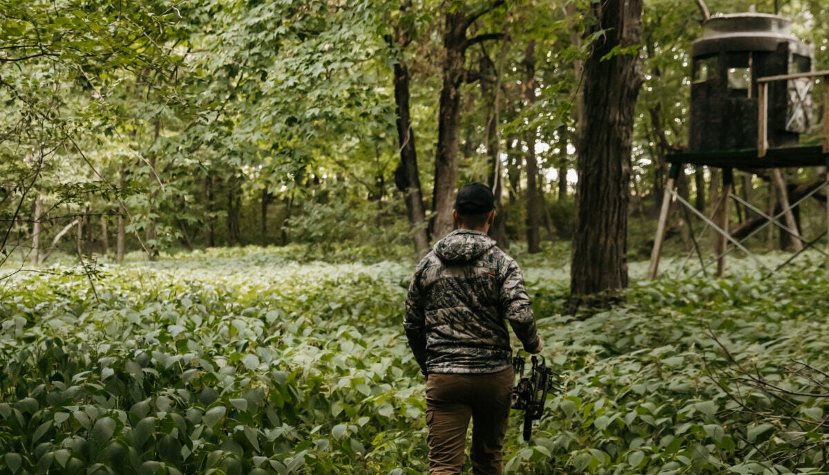 Home on the Range #056: Where Have All the Whitetail Deer Gone?… Home on the Range #056: Where Have All the Whitetail Deer Gone?…