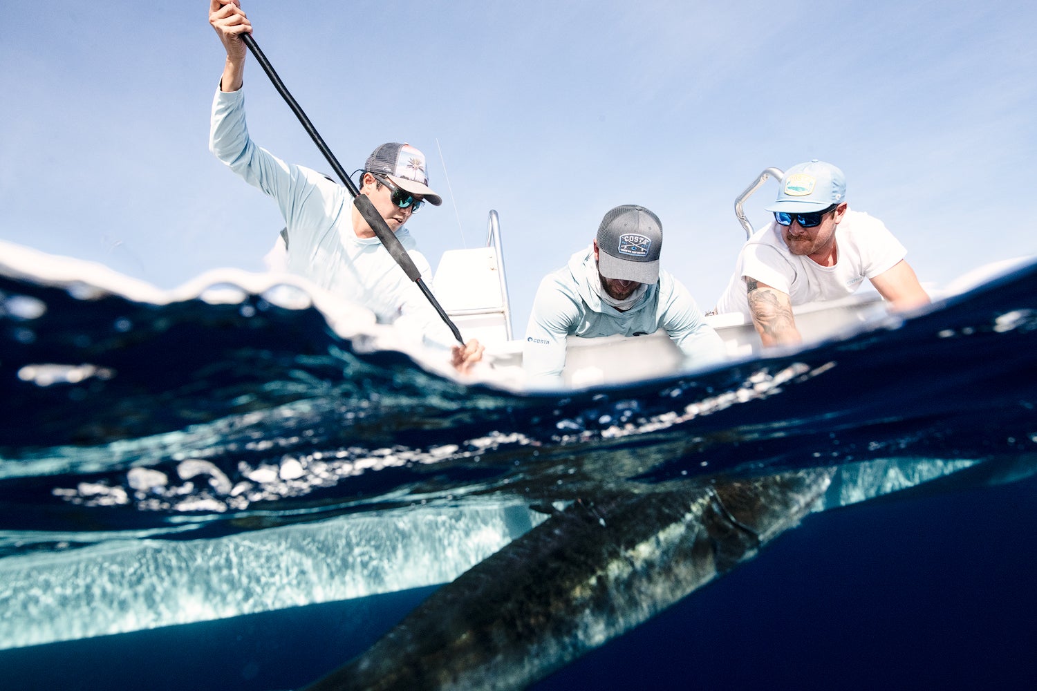 NextImg:Costa's Marlin Fly Project: Conservation through Community