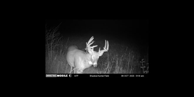 POTD: Are your Trail Cameras Ready for the Upcoming Whitetail Rut?