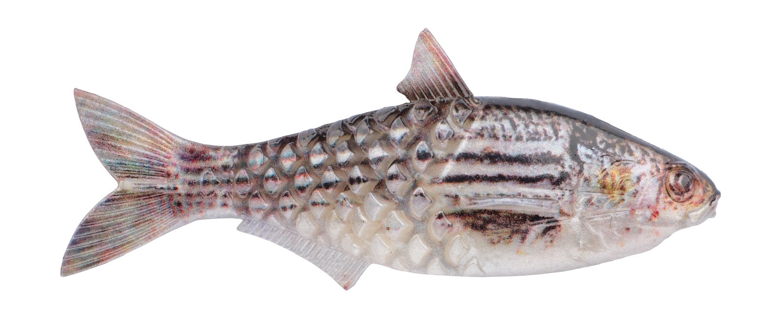 NextImg:Seven NEW Saltwater PowerBait Swimbaits from Berkley
