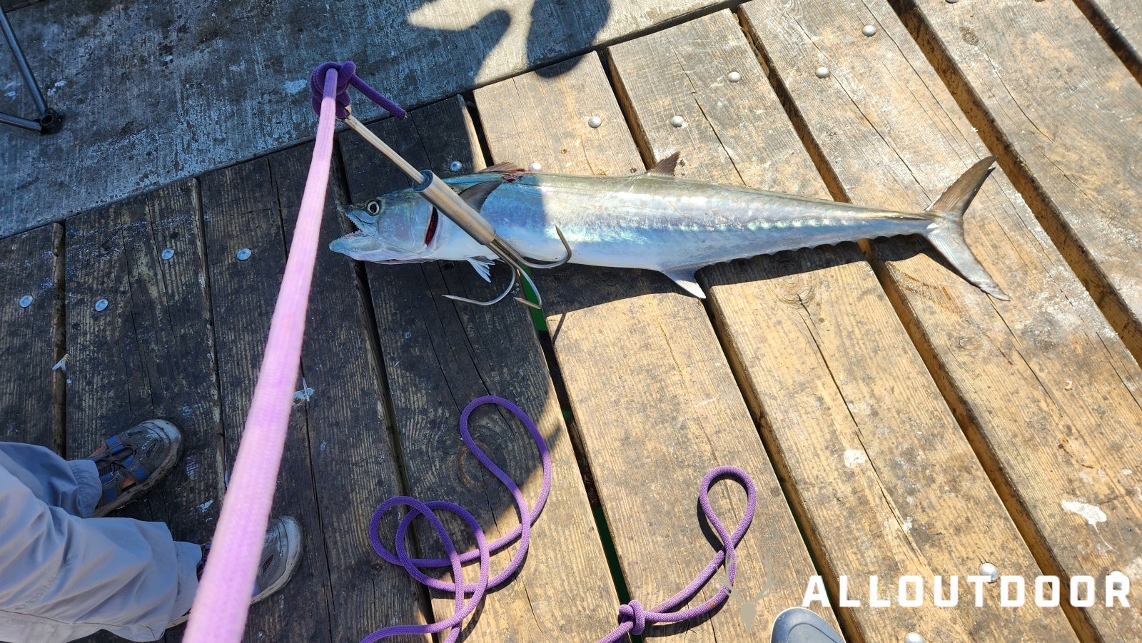Feast or Famine: October Pier Fishing in Panama City Beach - Part 1