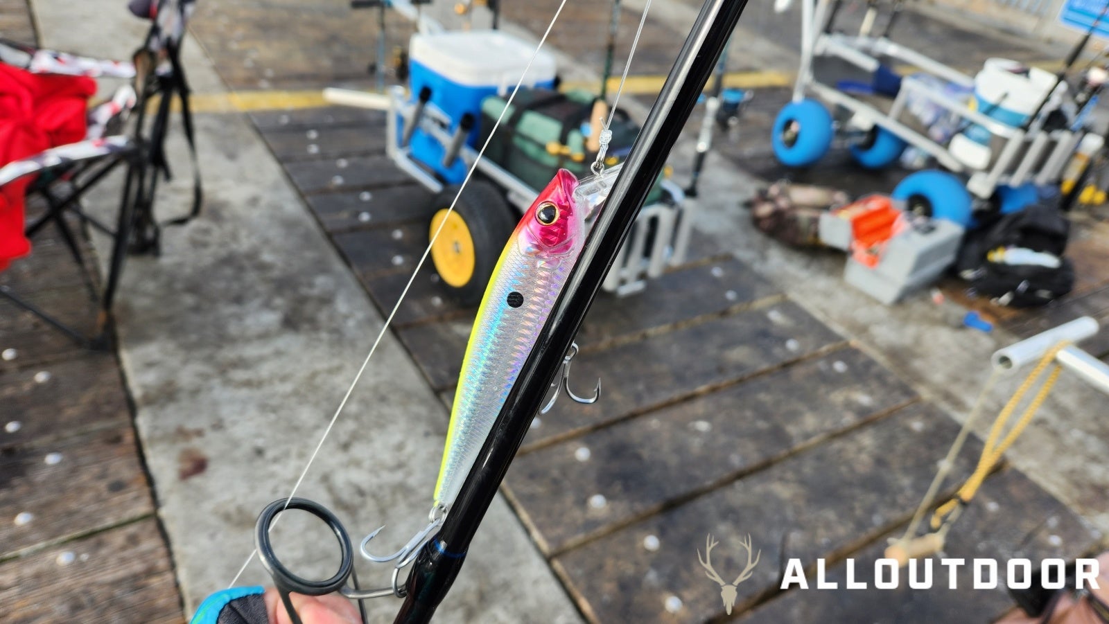 Feast or Famine - October Pier Fishing in PCB