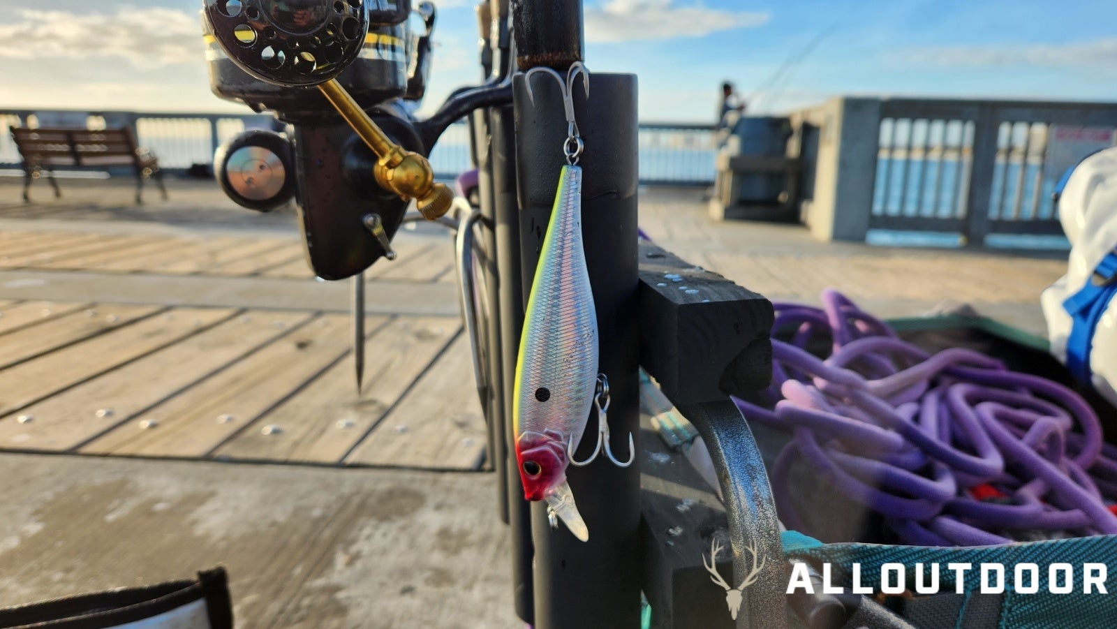 Feast or Famine - October Pier Fishing in PCB