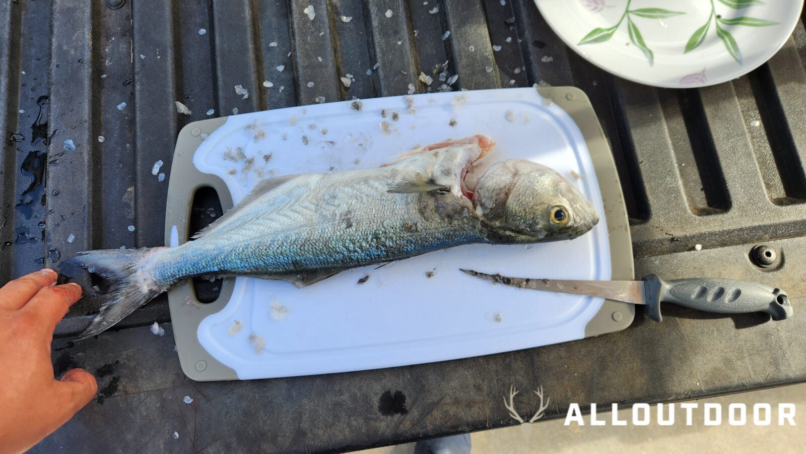 Cook your Catch - Baked Garlic & Paprika Bluefish