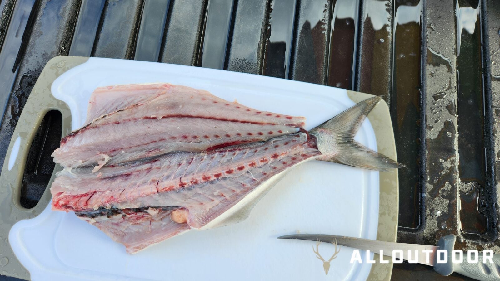 Cook your Catch - Baked Garlic & Paprika Bluefish