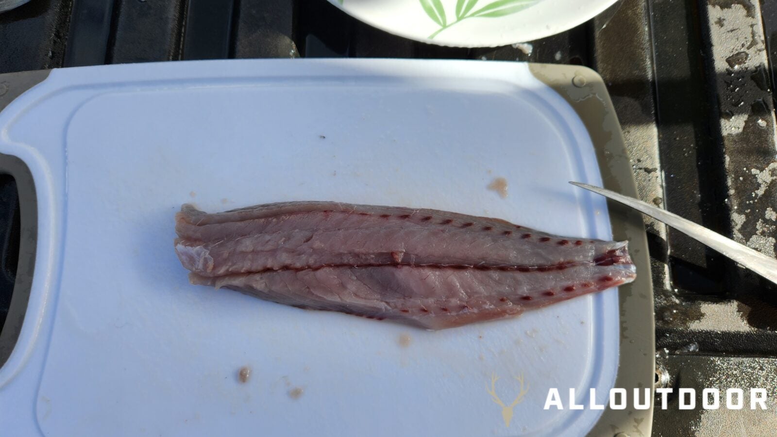 Cook your Catch - Baked Garlic & Paprika Bluefish