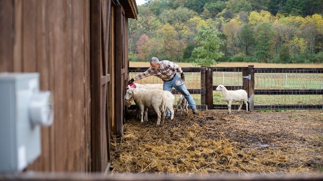 5 Fall Challenges for Homesteaders and How to Manage Them