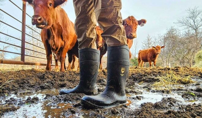 AO Review – Irish Setter Ironton 17″ Waterproof Soft Toe Pull-On Boot