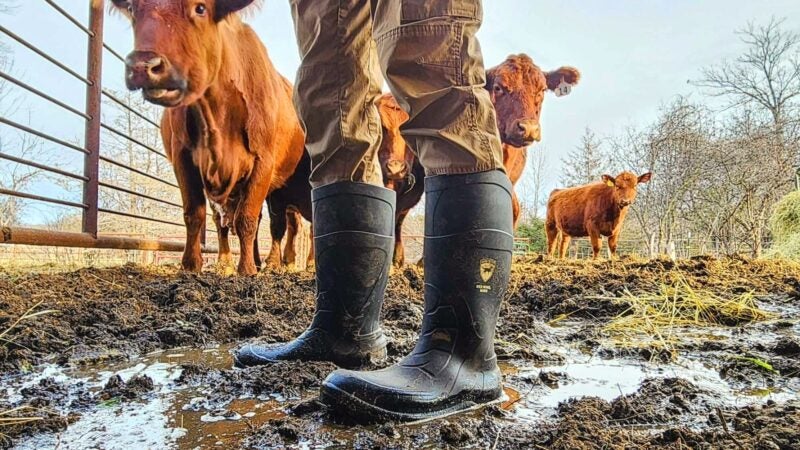 AO Review - Irish Setter Ironton 17" Waterproof Soft Toe Pull-On Boot