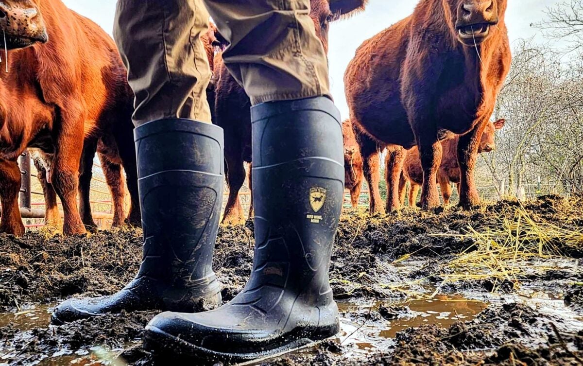 AO Review - Irish Setter Ironton 17" Waterproof Soft Toe Pull-On Boot