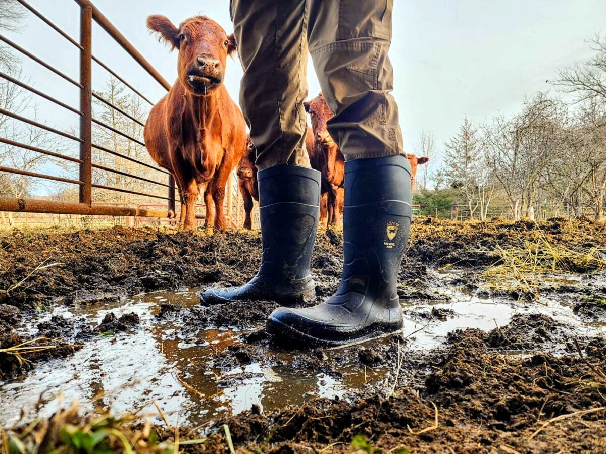 Irish Setter Ironton 17" Waterproof Soft Toe Pull-On Boot