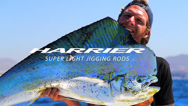NextImg:Daiwa's NEW Harrier SLJ (Super Light Jigging) Rod