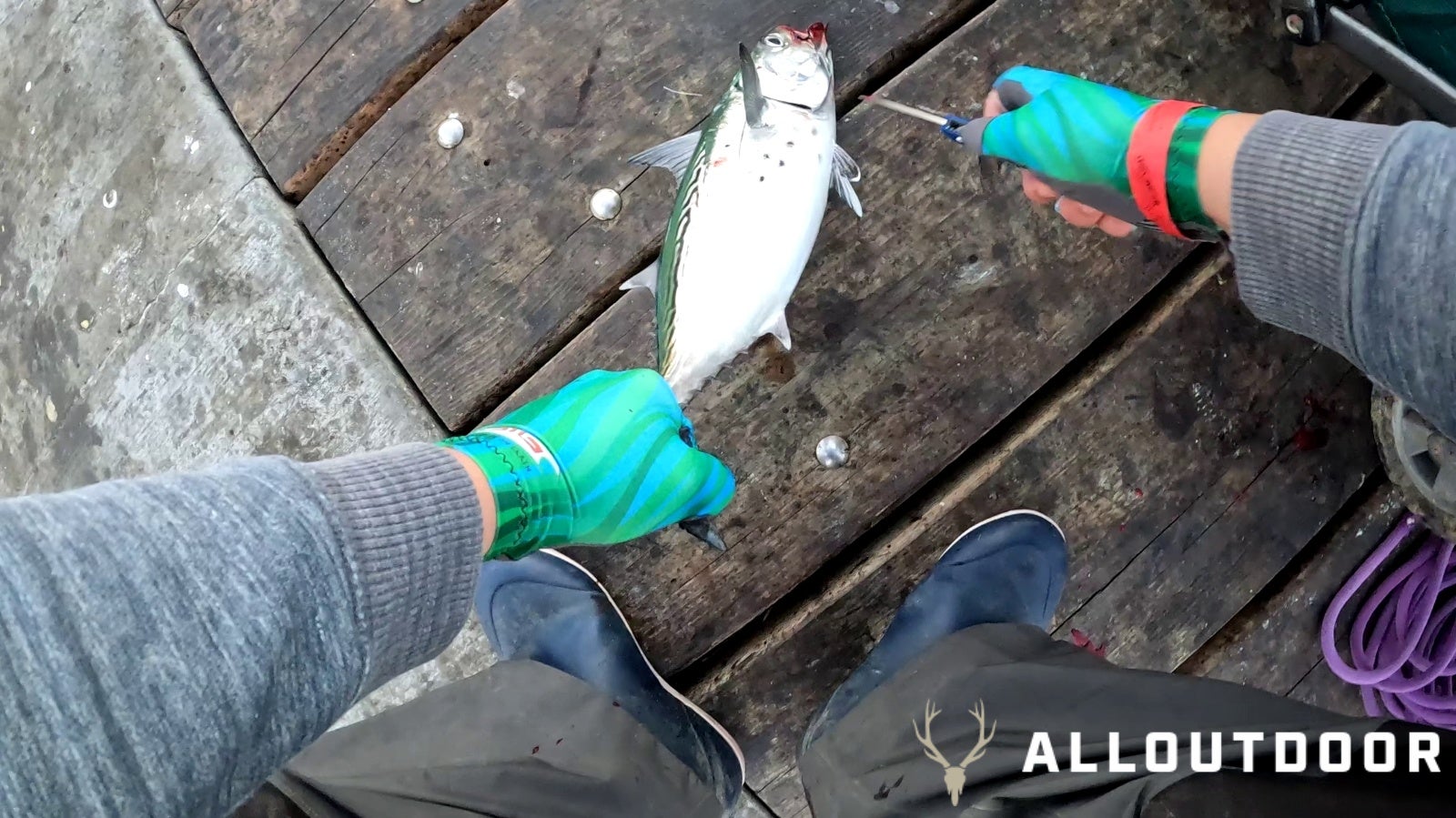 Feast or Famine - October Pier Fishing in PCB