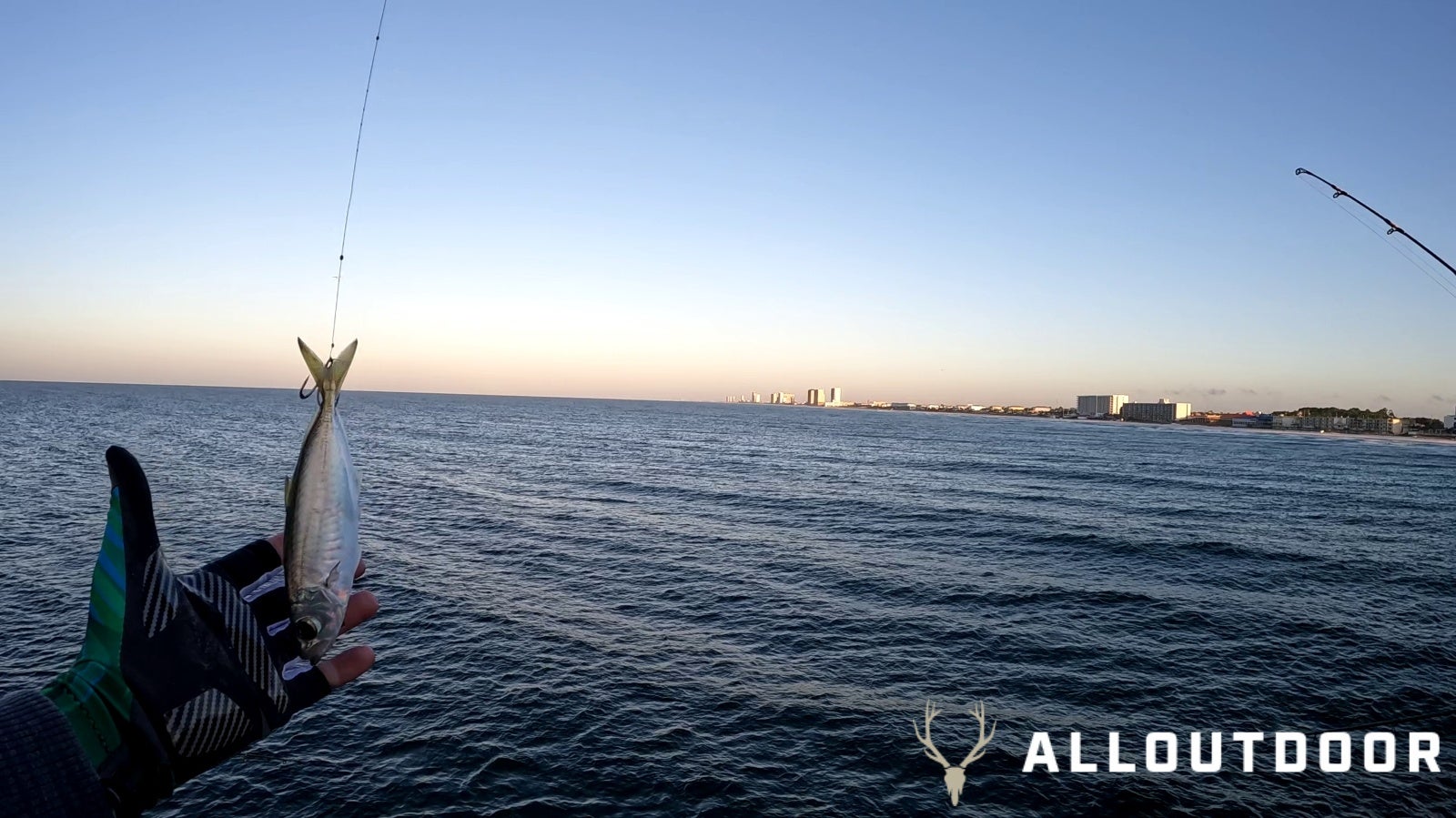 Feast or Famine: October Pier Fishing in Panama City Beach - Part 1