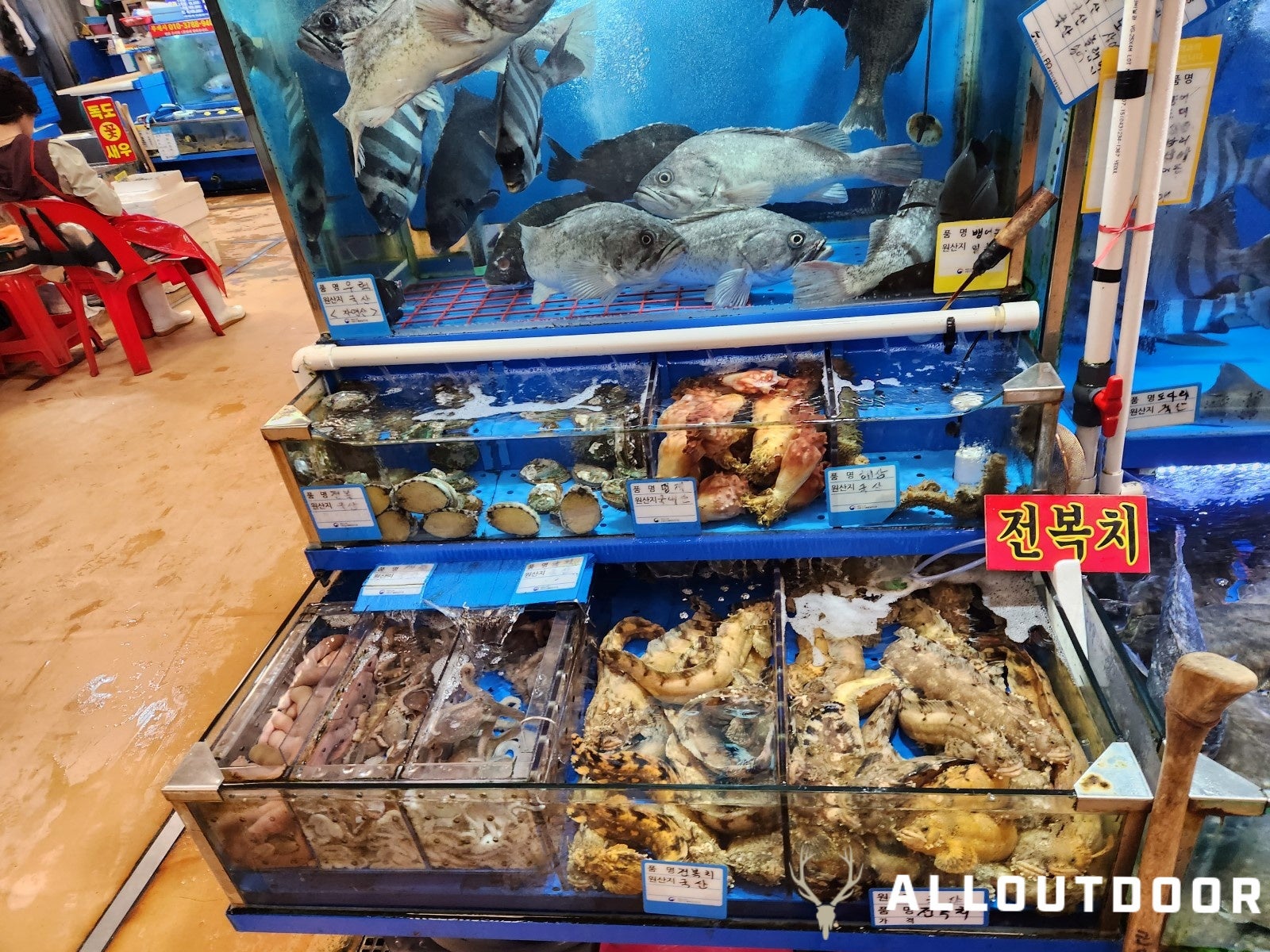 A Day in South Korea – Noryangjin Fish Market