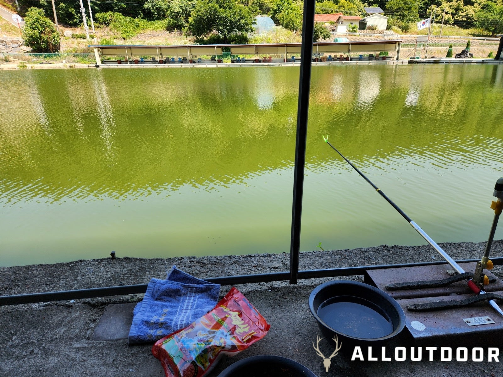 A Day in South Korea – Crucian Carp Fishing Park