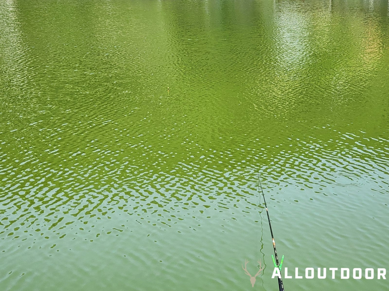 A Day in South Korea – Crucian Carp Fishing Park