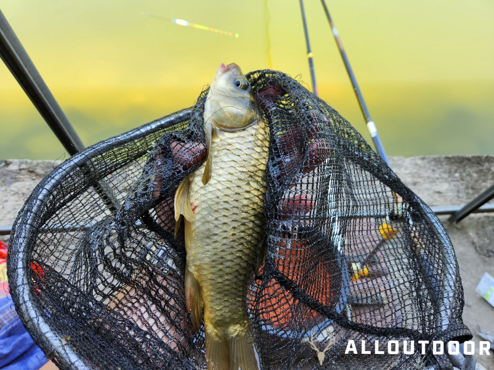 A Day in South Korea – Crucian Carp Fishing Park A Day in South Korea – Crucian Carp Fishing Park