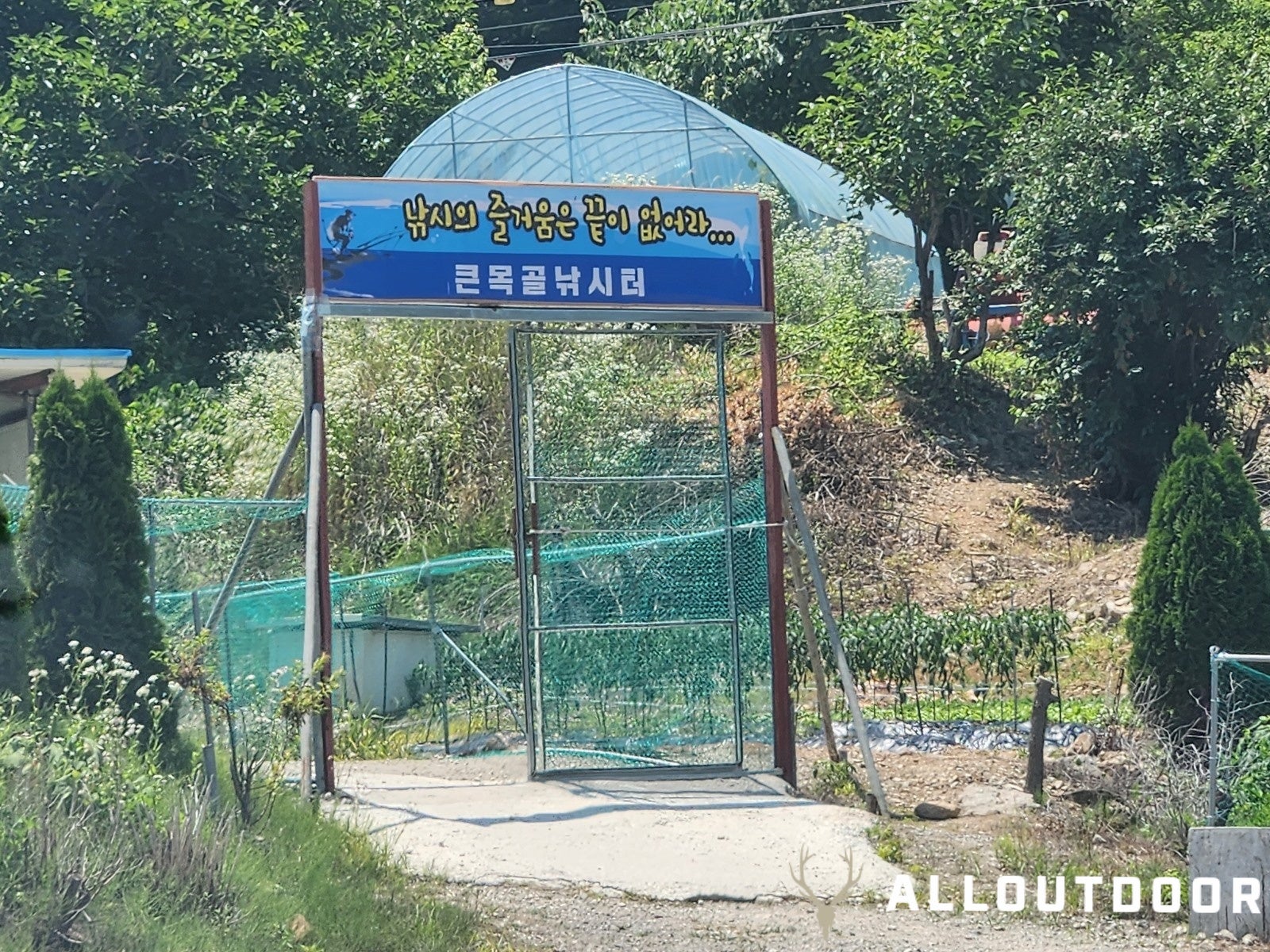 A Day in South Korea – Crucian Carp Fishing Park