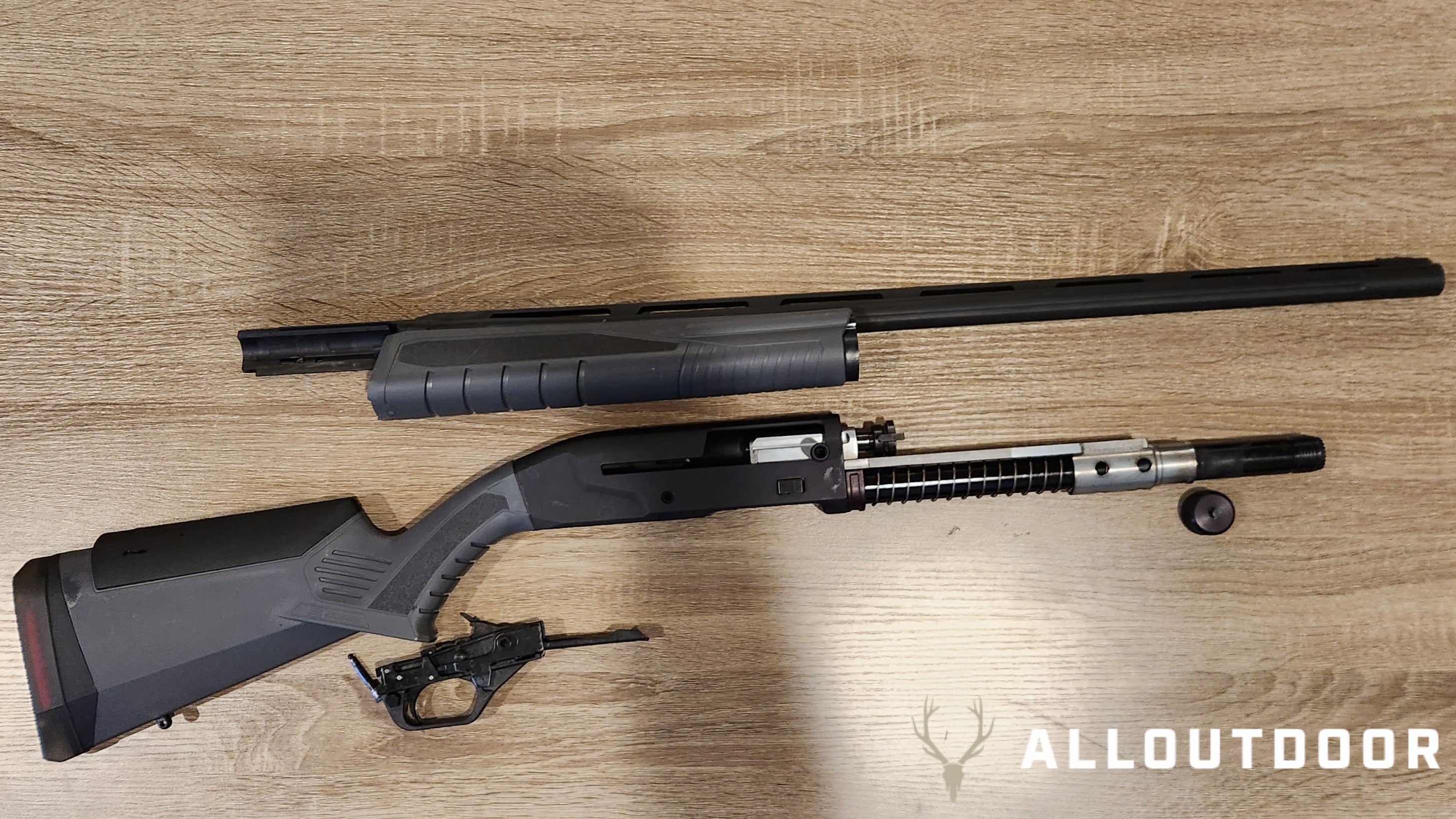 AllOutdoor Review: Savage Arms Renegauge Field