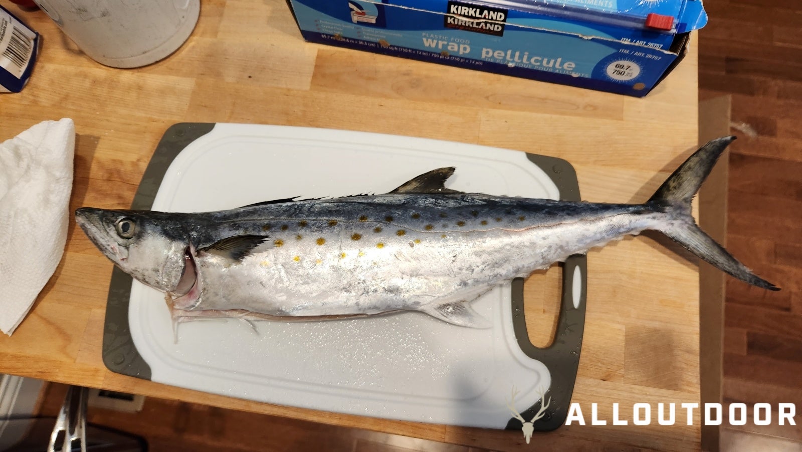 Cook your Catch - Delicious Spanish Mackerel Ceviche