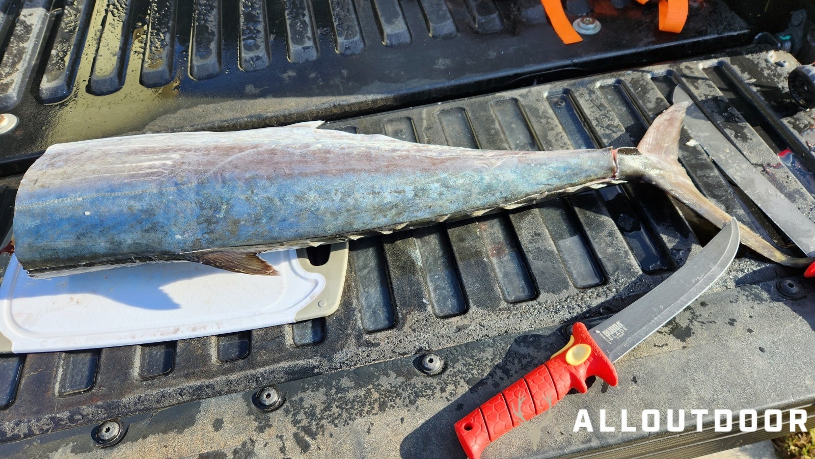 Cook your Catch – Miso King Mackerel