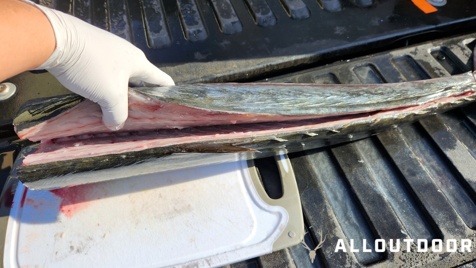 Cook your Catch – Miso King Mackerel