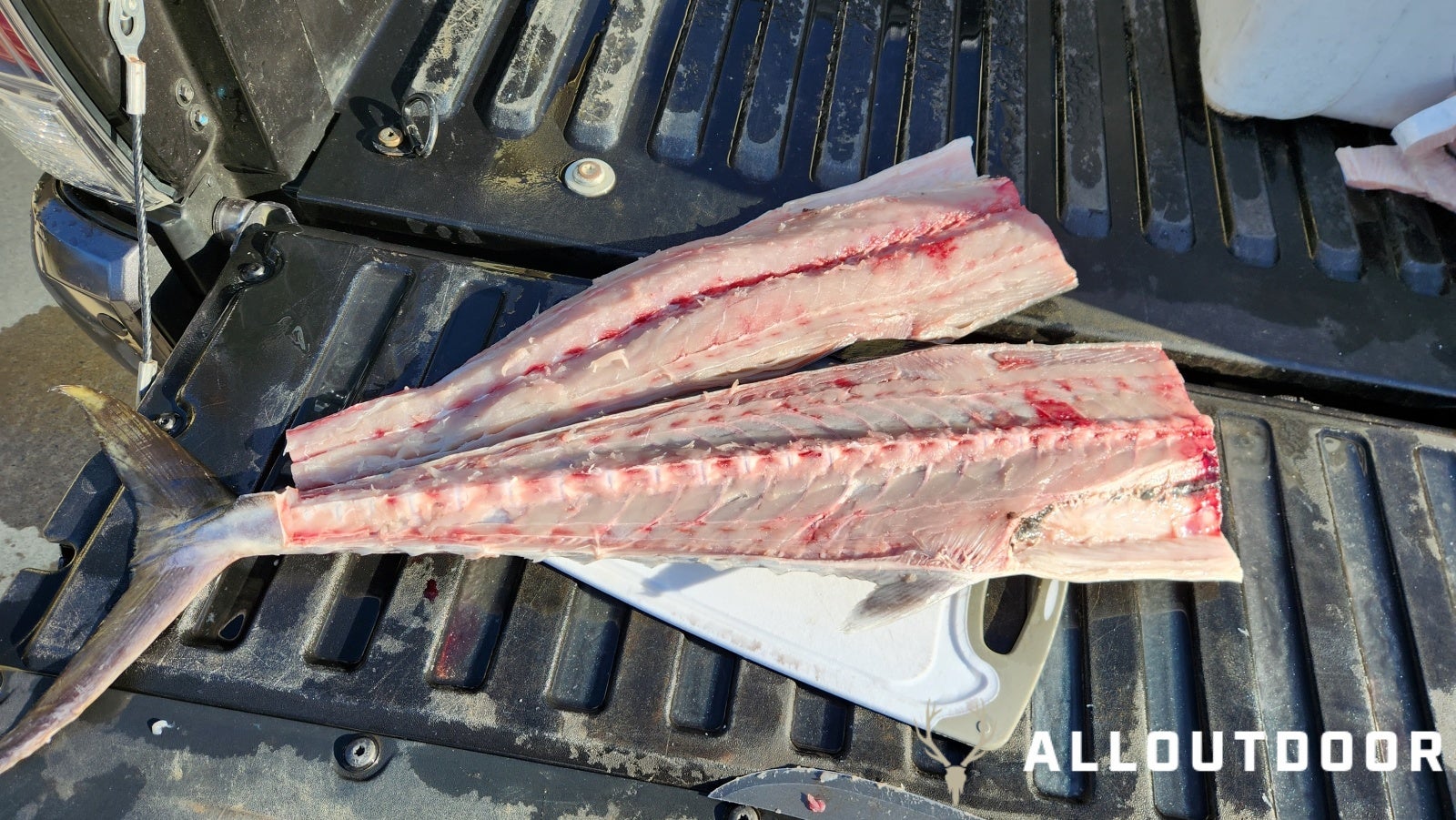 Cook your Catch – Miso King Mackerel